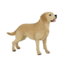 Papo Speelfiguur - Huisdier - Hond - Labrador - Blond