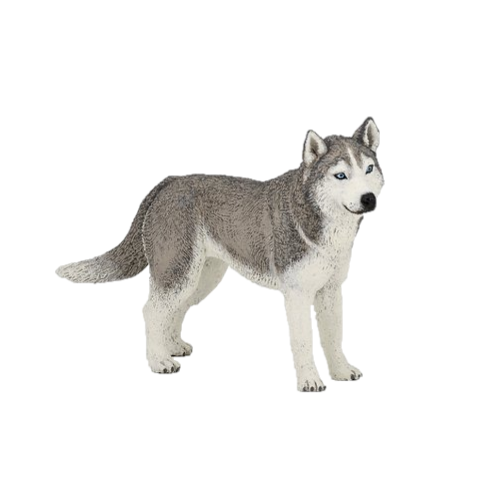Speelfiguur - Huisdier - Hond - Siberische husky