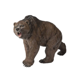 Papo Speelfiguur - Prehistorie - Holenbeer