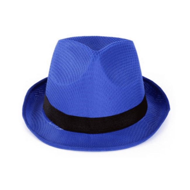 PartyXplosion Hoed - Blauw - Gleufhoed - Met zwarte rand