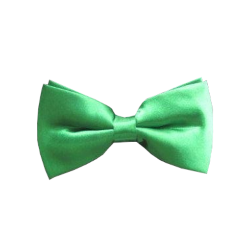 PartyXplosion Strik - Groen - Luxe - 12x6.5cm PartyXplosion Strik - Groen - Luxe - 12x6.5cm