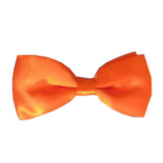 PartyXplosion Strik - Vlinderstrik - Oranje - Luxe - 12x6.5cm