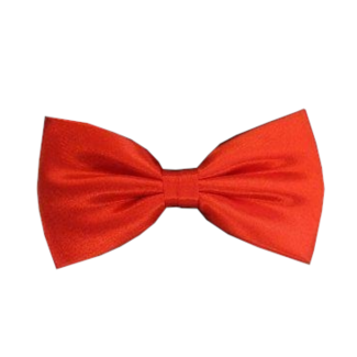 PartyXplosion Strik - Vlinderstrik - Rood - Luxe - 12x6.5cm