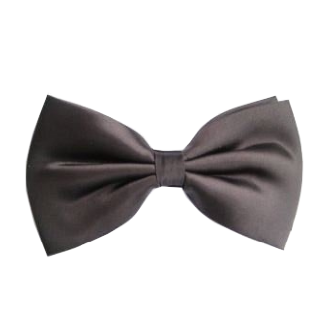 PartyXplosion Strik - Vlinderstrik - Zwart - Luxe - 12x6.5cm