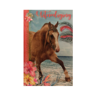 ImageGroup Uitnodigingskaarten - Paard - Bij de zee - 6st.