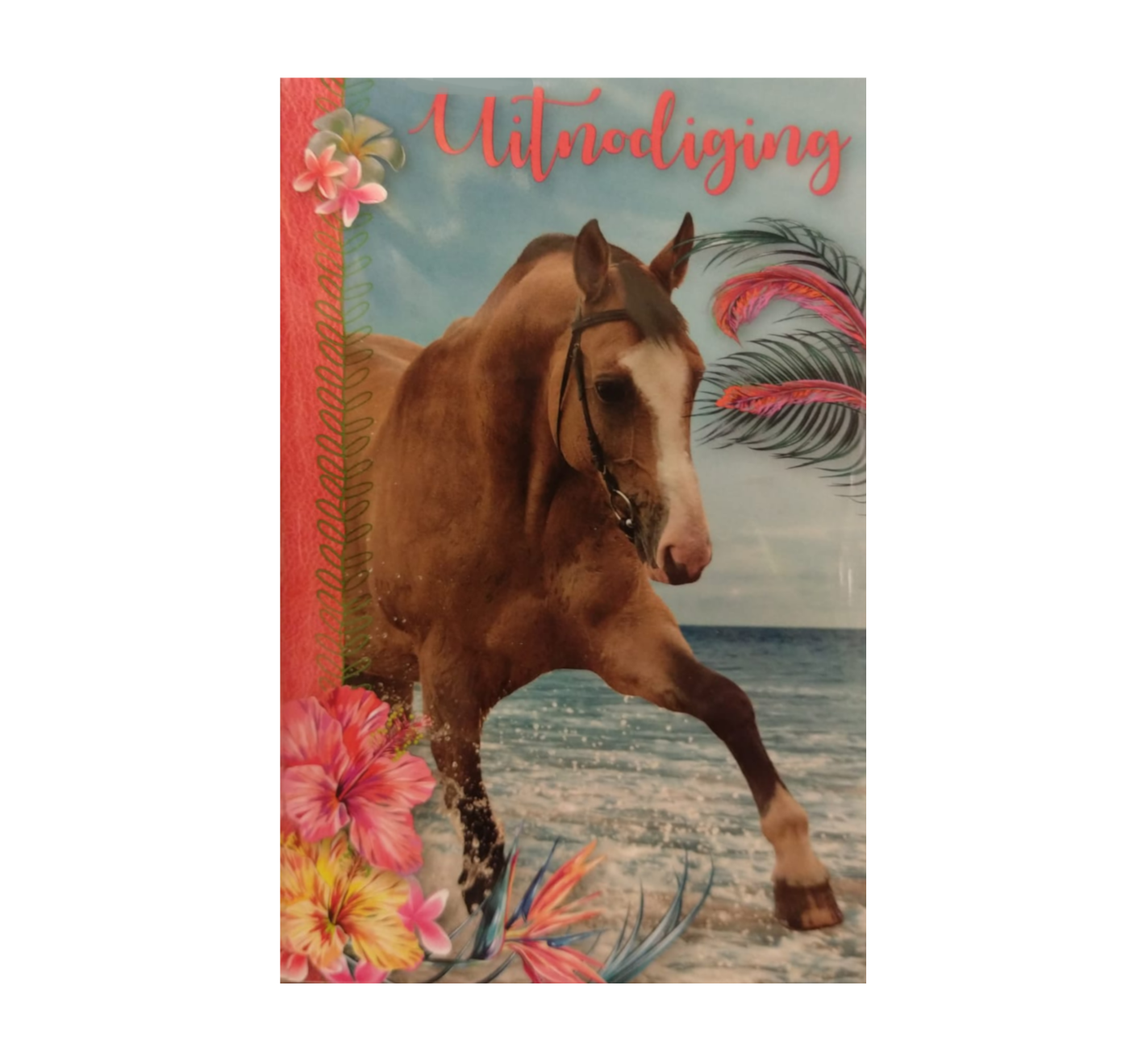 Uitnodigingskaarten - Paard - Bij de zee - 6st.