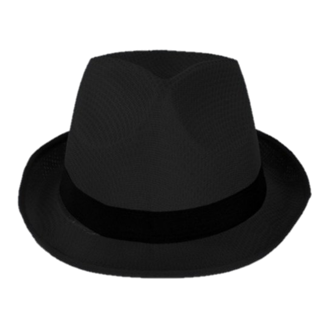 PartyXplosion Hoed - Zwart - Gleufhoed - Met zwarte band