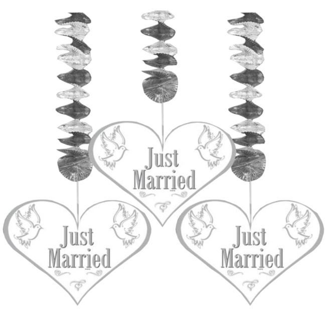 Folat Folat - Hangdecoratie - Just Married - 3m