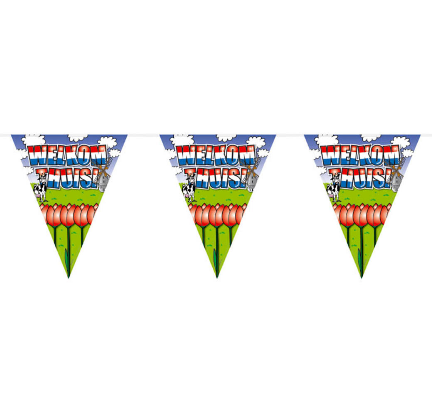 Vlaggenlijn - Welkom thuis - 10m