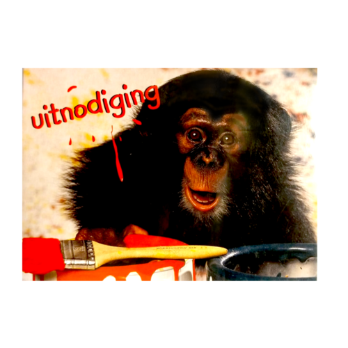 Uitnodigingskaarten - Baby aapje - 6st. Uitnodigingskaarten - Baby aapje - 6st.