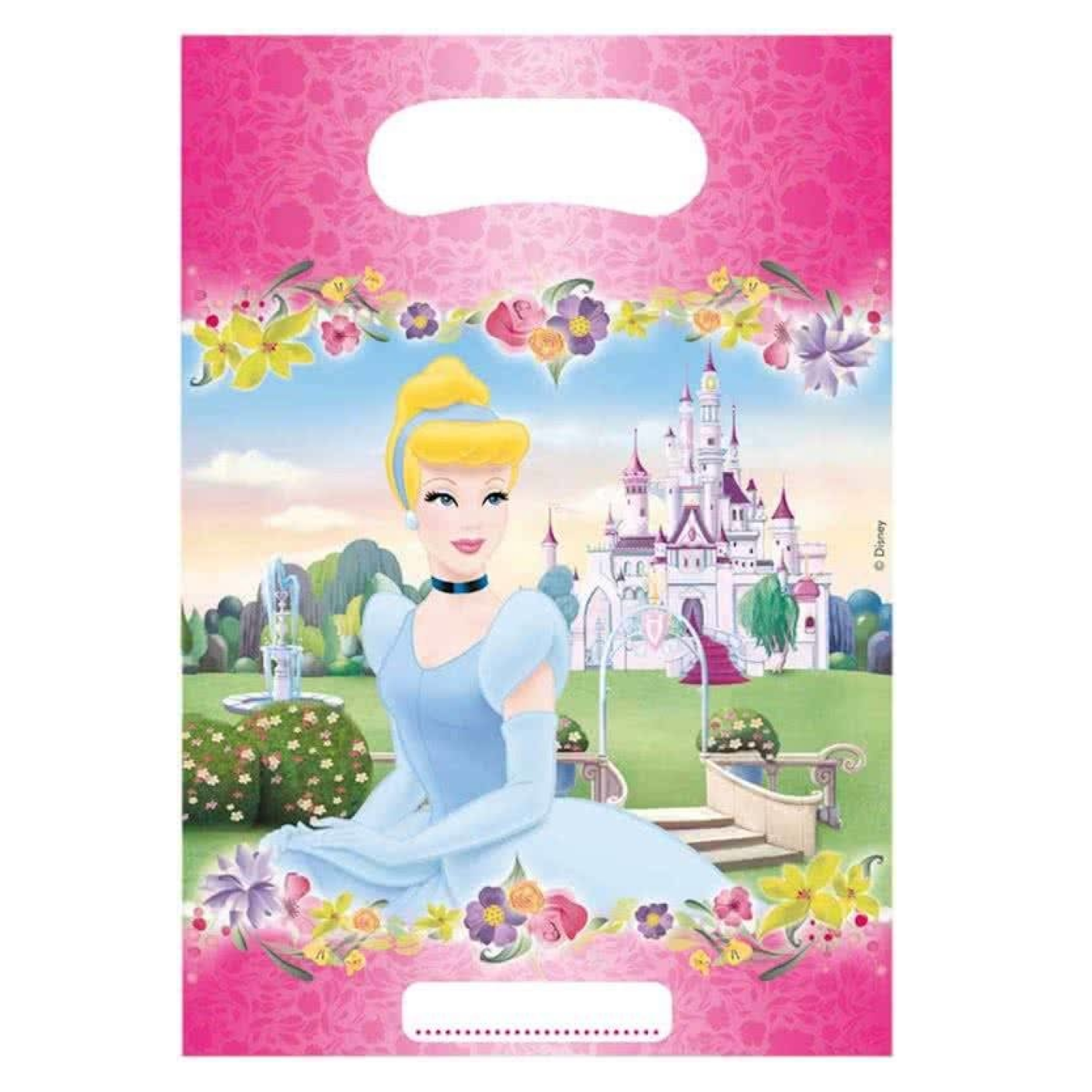Uitdeelzakjes - Prinsessen - 6st.
