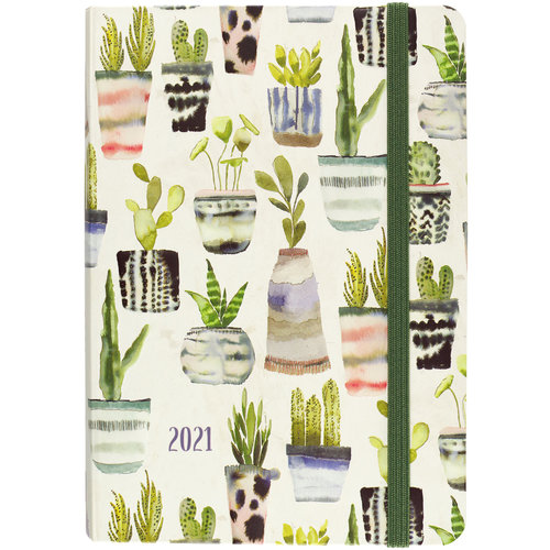 Peter Pauper Agenda - Compact - 16 maanden - Cactus aquarellen - 12,7x17,8cm - 2021 Peter Pauper Agenda - Compact - 16 maanden - Cactus aquarellen - 12,7x17,8cm - 2021
