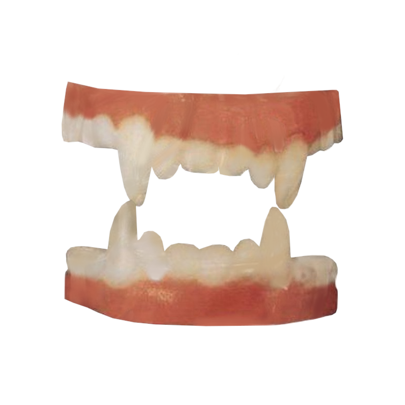 Latex prothese - Gebit - Dracula