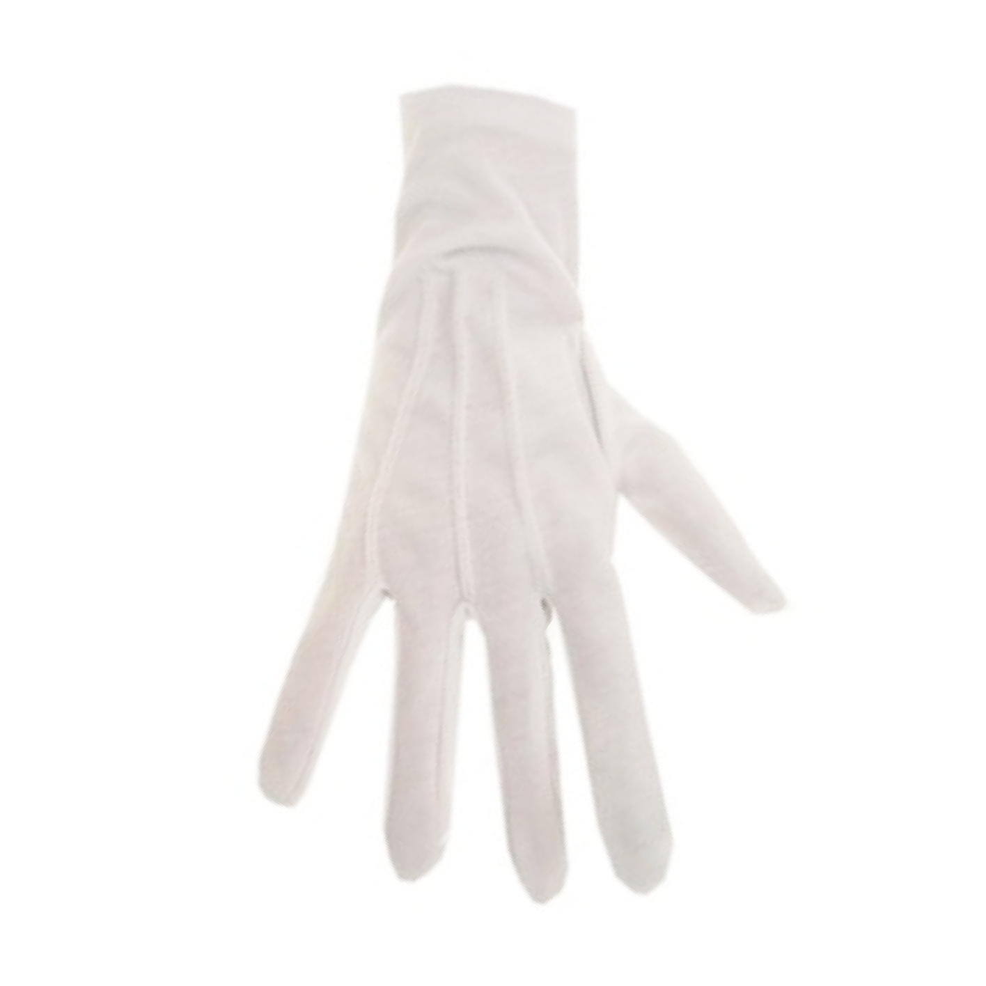 Handschoenen - Wit - M