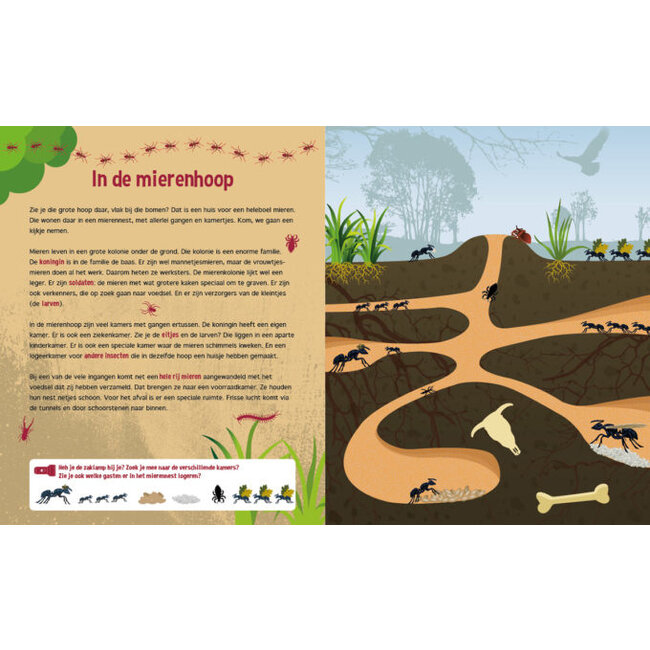 Lantaarn Boek - Speuren onder de grond