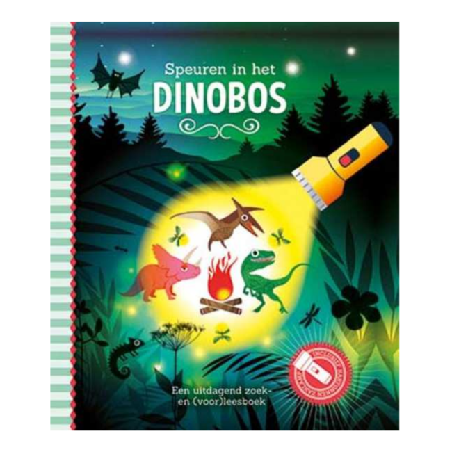 Lantaarn Boek - Speuren in het dino bos