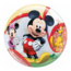 Qualatex Folieballon - Mickey Mouse & Donald Duck - Bubble - 56cm - Zonder vulling