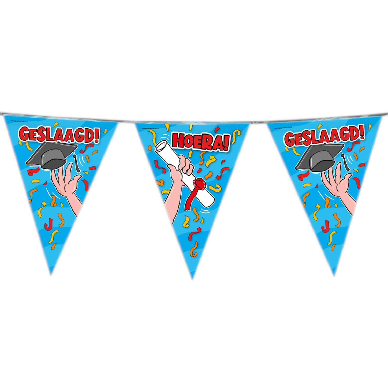 Vlaggenlijn - Geslaagd - 10m