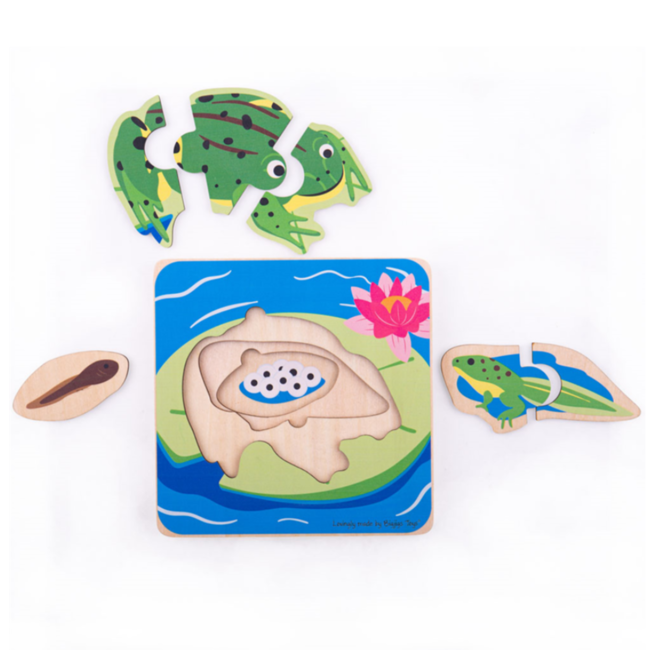 BigJigs Puzzel - Van kikkerdril tot kikker - Levenscyclus - 3 lagen