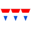 Haza-Witbaard Vlaggenlijn - Nederland - Rood, wit, blauw - 10m
