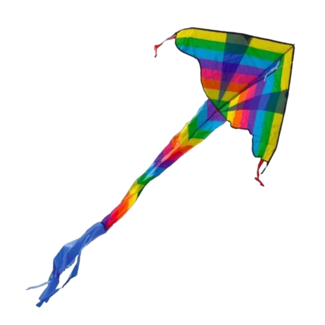 Twisk Vlieger - Gekleurde draak - 102x57cm - Eenlijns