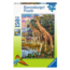 Ravensburger Puzzel - Kleurrijke savanne - 150st. XXL