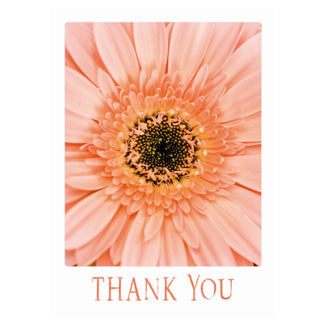 Artige Kaart - Eco Cards - Thank you - ECLT15