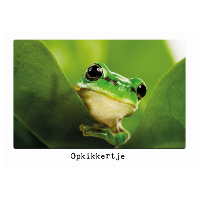 Artige Kaart - Eco Cards - Opkikkertje - ECLT22