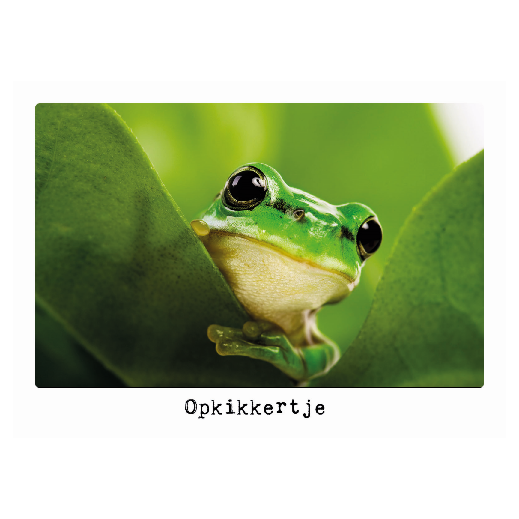Kaart - Eco Cards - Opkikkertje - ECLT22