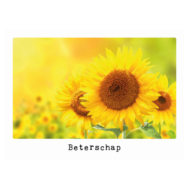 Artige Kaart - Eco Cards - Beterschap - ECLT23