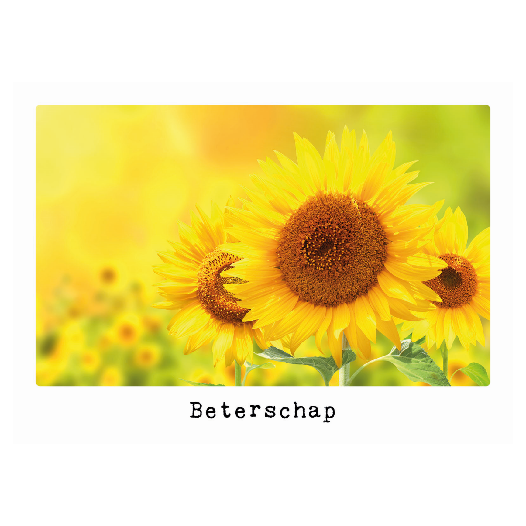 Kaart - Eco Cards - Beterschap - ECLT23