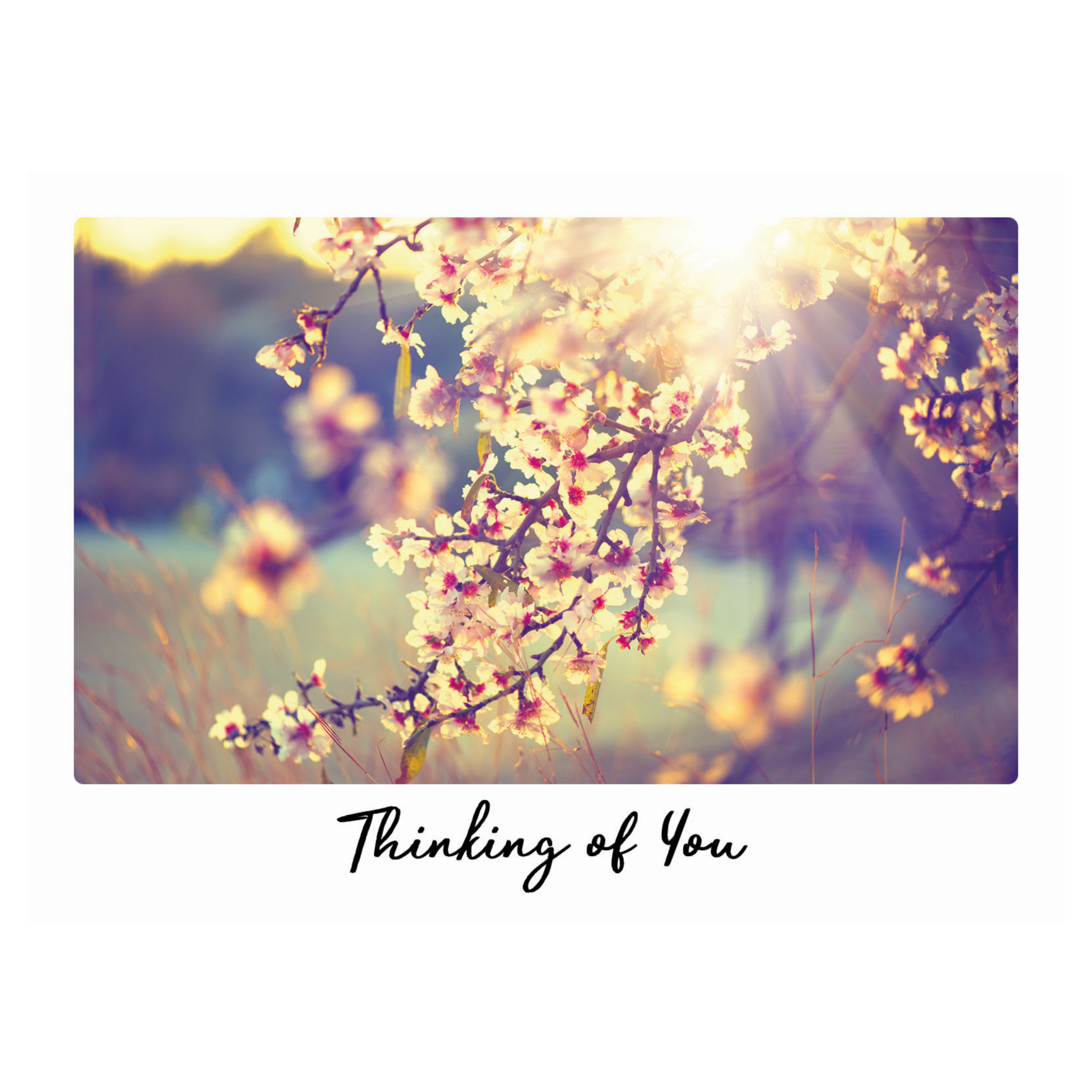 Kaart - Eco Cards - Thinking of you - ECLT24