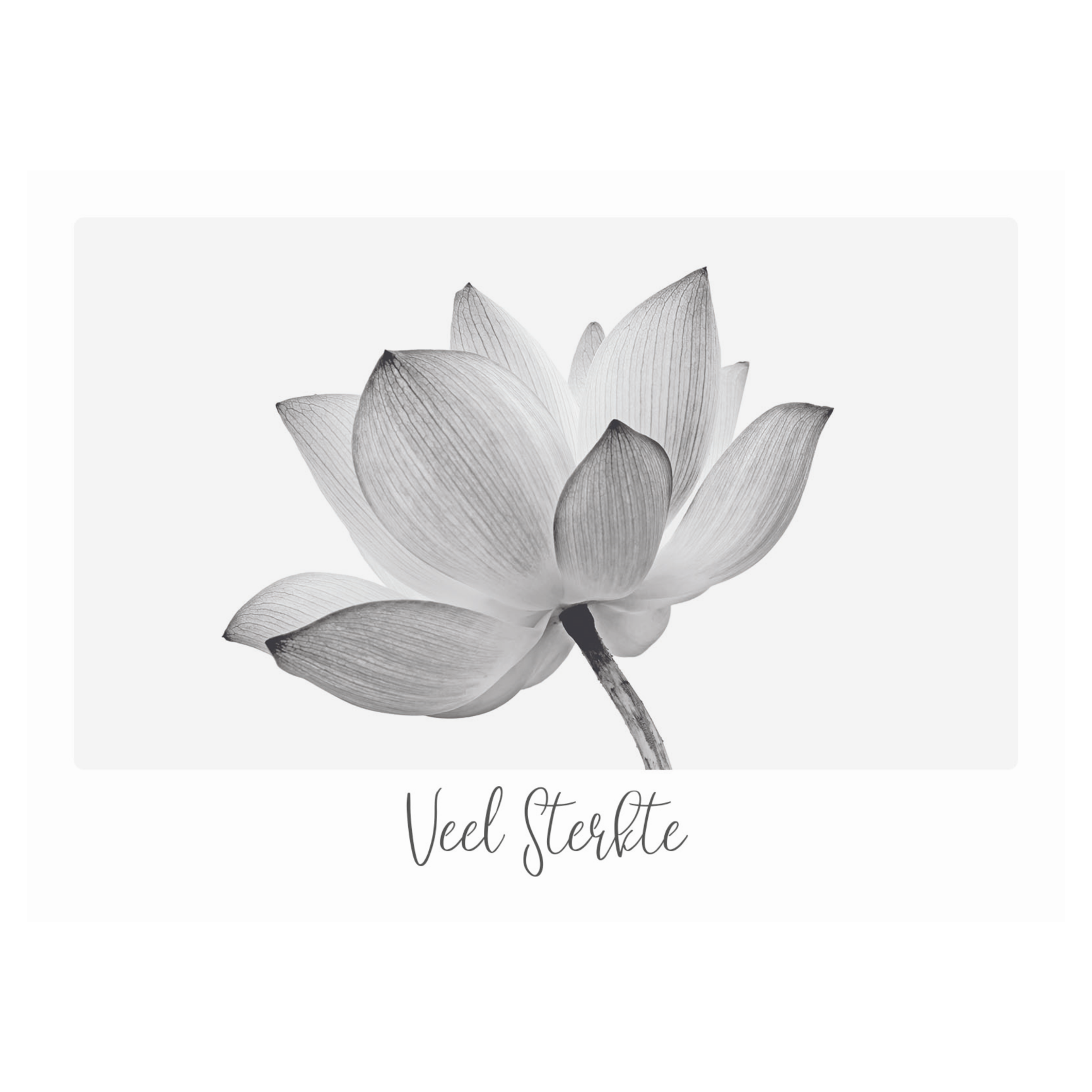 Kaart - Eco Cards - Veel sterkte - ECLT25