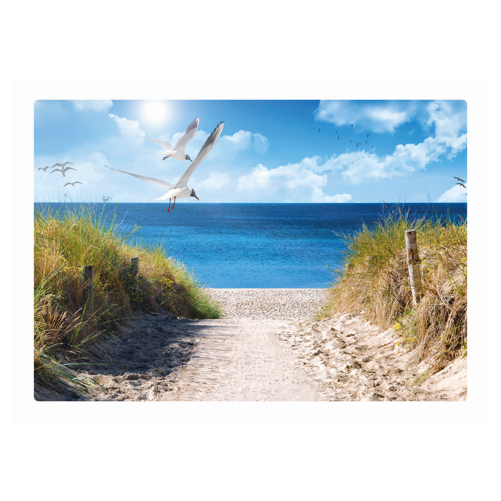 Kaart - Eco Cards - Uitzicht op strand - ECLT28