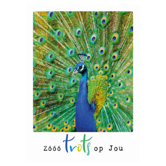 Artige Kaart - Eco Cards - Zóóó trots op jou - ECLT32