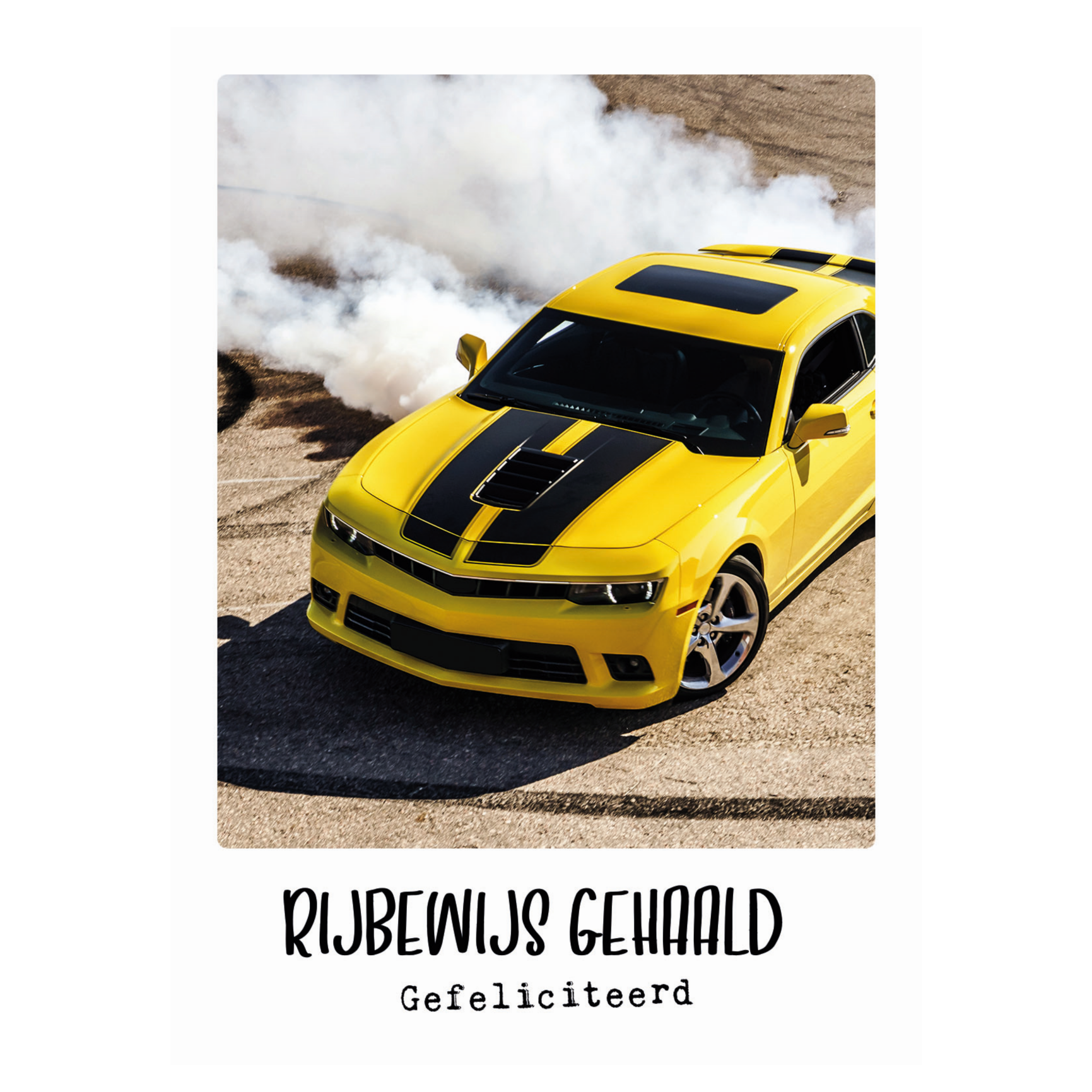 Kaart - Eco Cards - Rijbewijs gehaald, gefeliciteerd - ECLT35