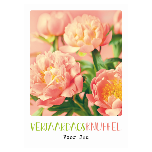 Artige Kaart - Eco Cards - Verjaardagsknuffel voor jou - ECLT66