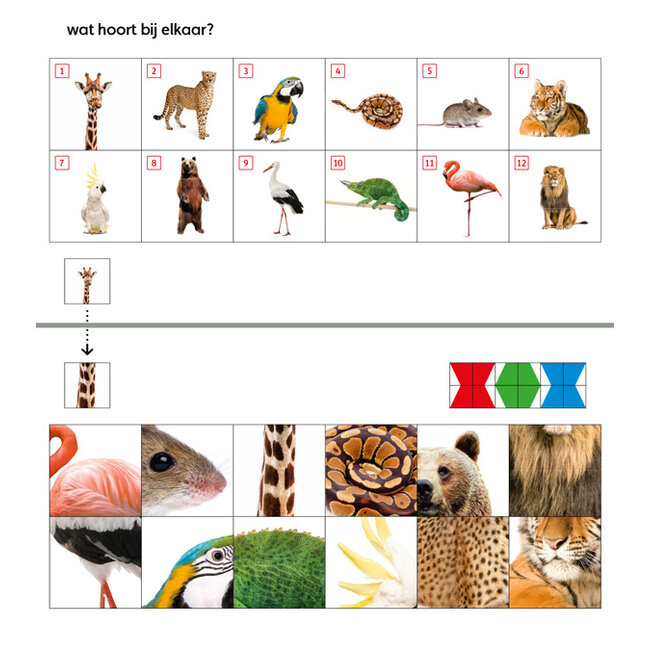 Loco Leerspellen Loco Mini - Pakket - Starterspakket