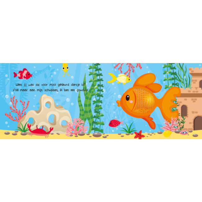 Lantaarn Boek - Kijk- en voelboek - Huisdieren