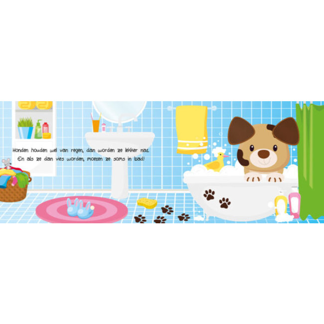 Lantaarn Boek - Kijk- en voelboek - Huisdieren