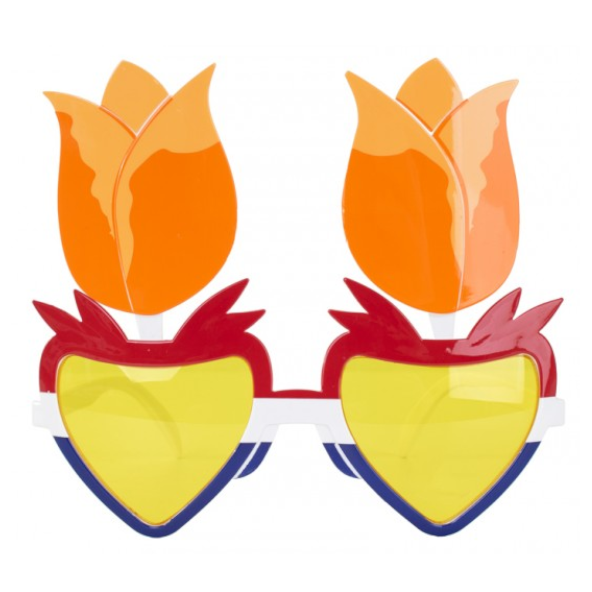 Bril - Holland - Tulpen