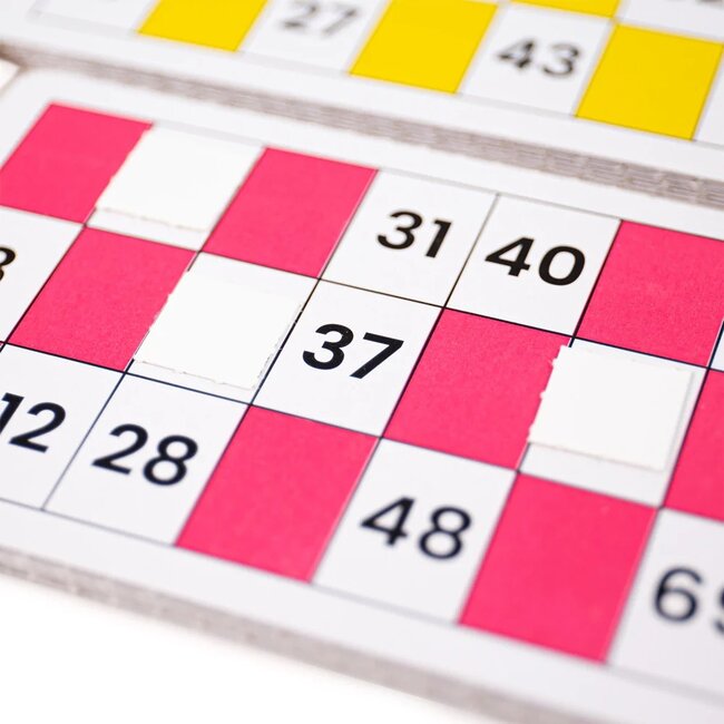 BigJigs Bingo - Compleet - Bordspel