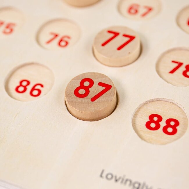 BigJigs Bingo - Compleet - Bordspel