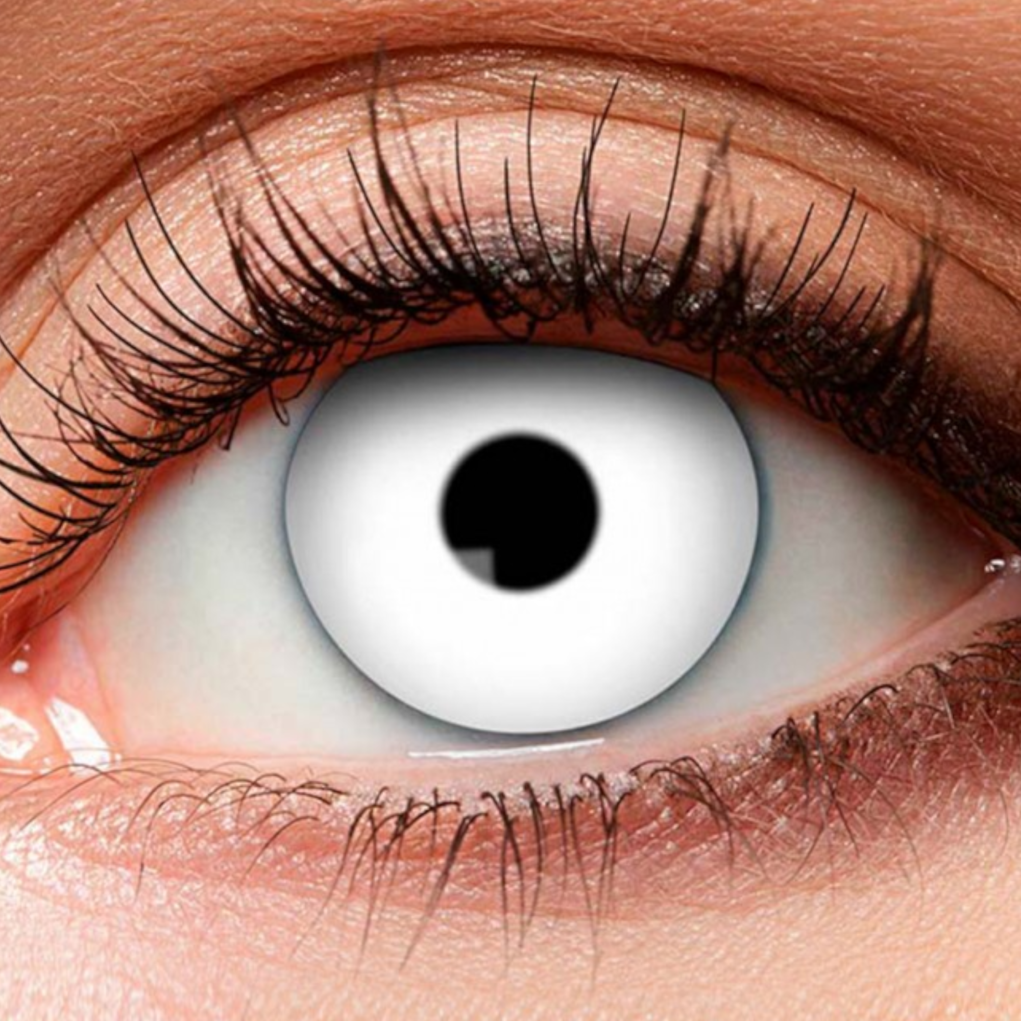 Lenzen - Wit - Zombie - Weeklenzen