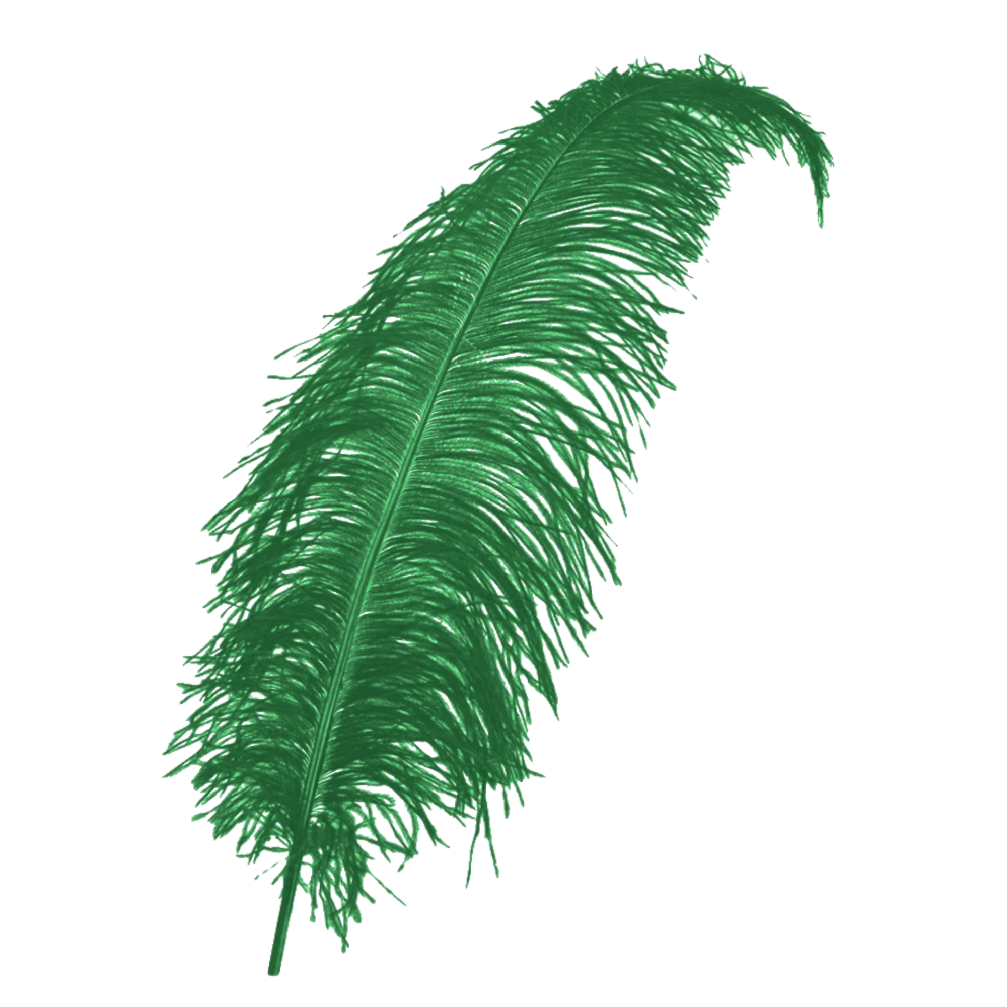 Veer - Donker Groen - Spadonis - Piet - 50cm