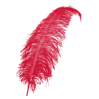 PartyXplosion Veer - Rood - Spadonis - Piet - 50cm