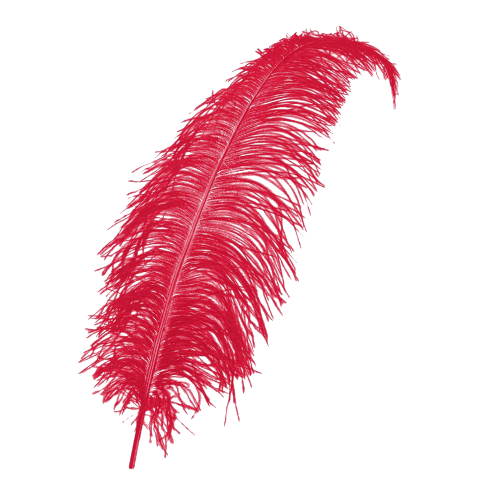 Veer - Rood - Spadonis - Piet - 50cm