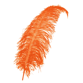 PartyXplosion Veer - Oranje - Spadonis - Piet - 50cm