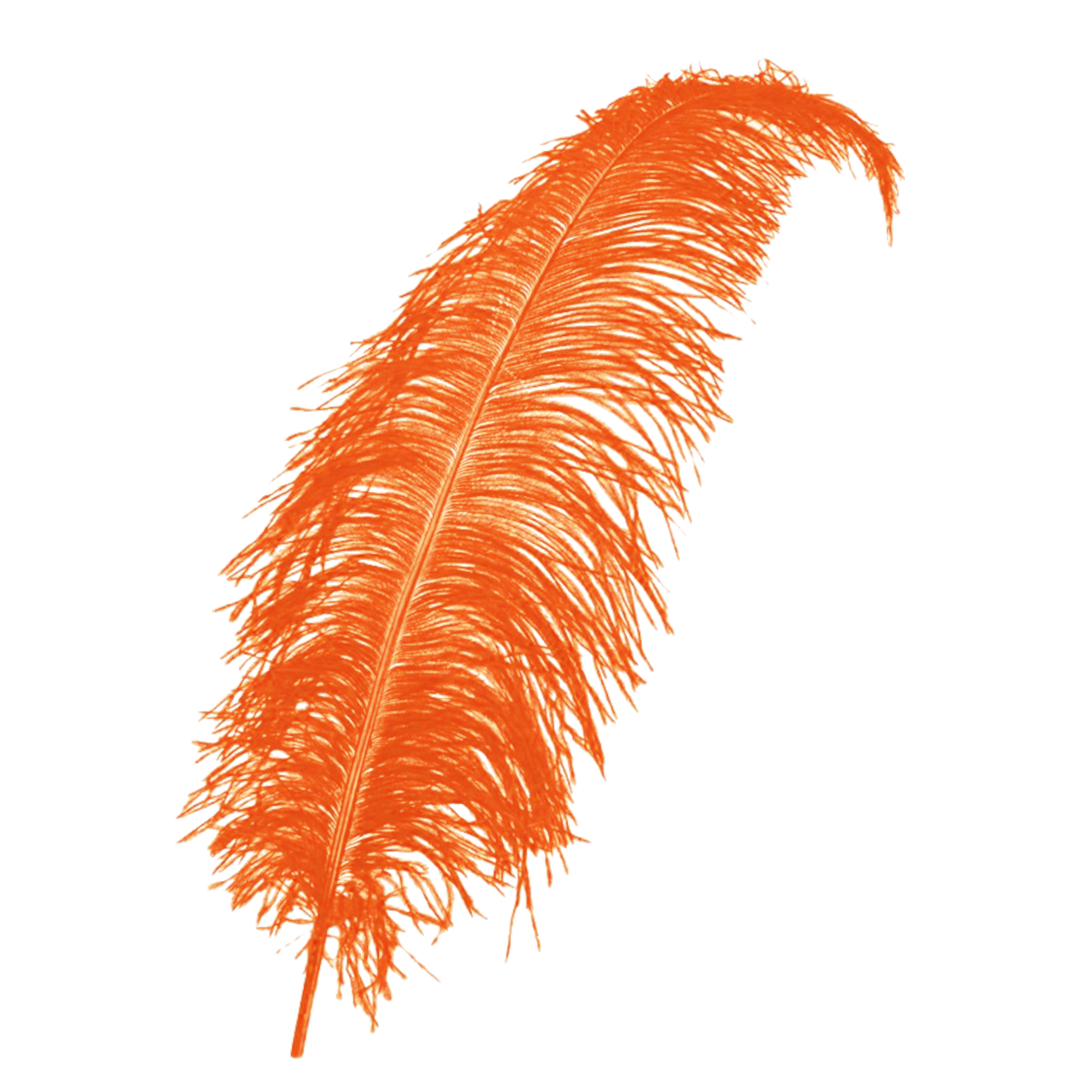 Veer - Oranje - Spadonis - Piet - 50cm