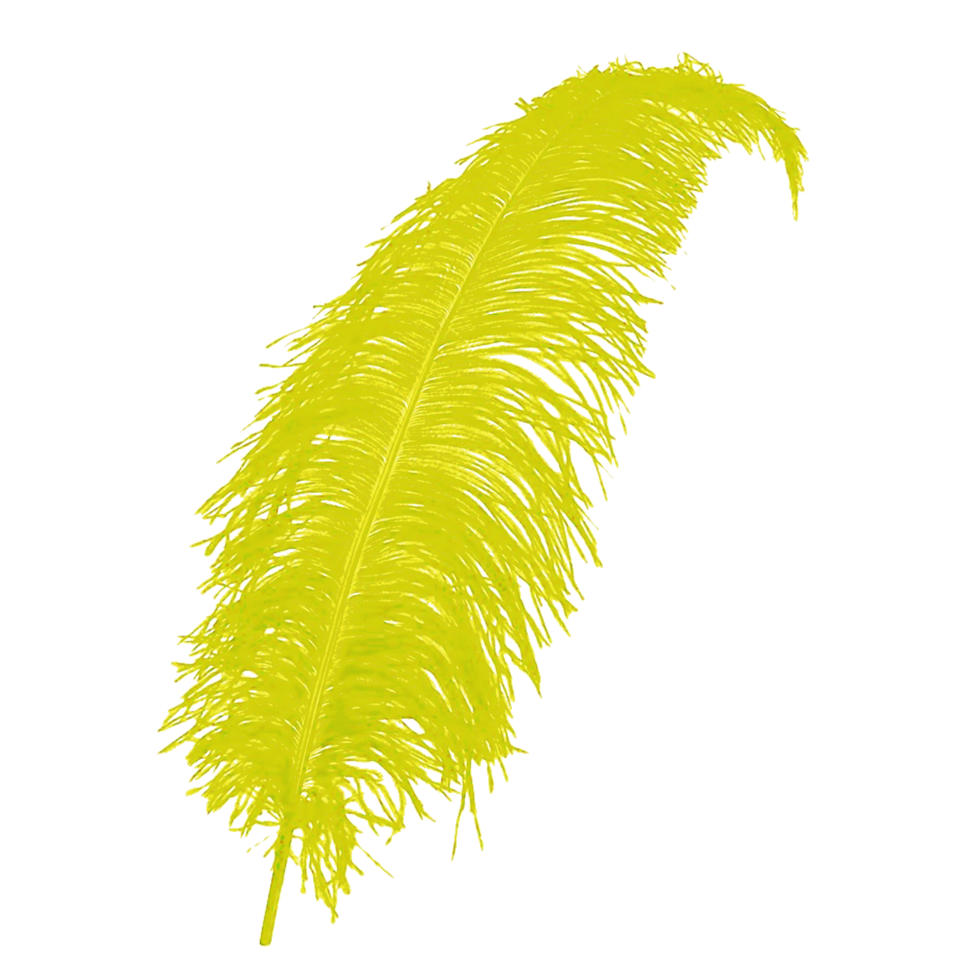 Veer - Geel - Spadonis - Piet - 50cm